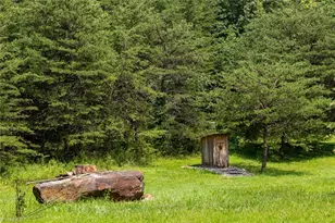 351 Colony Ln, Purlear, NC 28665 - Photo 17