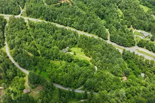 351 Colony Ln, Purlear, NC 28665 - Photo 7