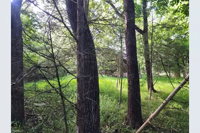 5364 Pisgah Covered Bridge Road, Asheboro, NC 27205 - Photo 13