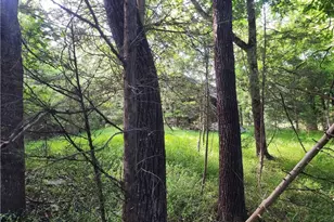 5364 Pisgah Covered Bridge Rd, Asheboro, NC 27205 - Photo 13