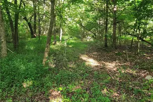 5364 Pisgah Covered Bridge Rd, Asheboro, NC 27205 - Photo 9