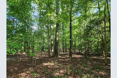 5364 Pisgah Covered Bridge Road, Asheboro, NC 27205 - Photo 7