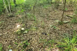 5364 Pisgah Covered Bridge Rd, Asheboro, NC 27205 - Photo 15