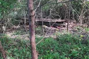 5364 Pisgah Covered Bridge Rd, Asheboro, NC 27205 - Photo 11