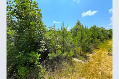 00 US Highway 220, Asheboro, NC 27205 - Photo 23