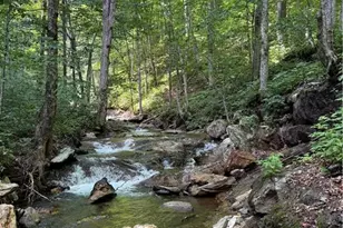 904 Bryan Hollow Rd, Boone, NC 28607 - Photo 49