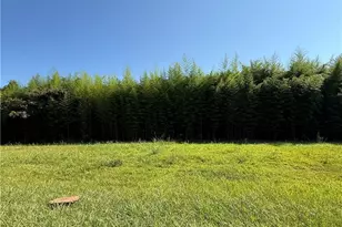 00 US Hwy 311, Sophia, NC 27350 - Photo 1