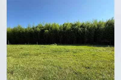 00 US Highway 311, Sophia, NC 27350 - Photo 3