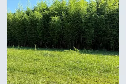 00 US Highway 311, Sophia, NC 27350 - Photo 5