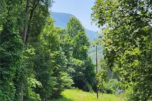 1080 Kudzu Ln, Danbury, NC 27016 - Photo 15