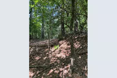 Lot 33 Jonathan Drive, Lowgap, NC 27024 - Photo 5