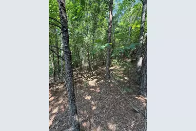 Lot 33 Jonathan Drive, Lowgap, NC 27024 - Photo 9