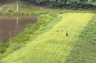 6517 Blazingwood Dr, Pfafftown, NC 27040 - Photo 3