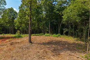 1853 Hill River Rd, Hiddenite, NC 28636 - Photo 19