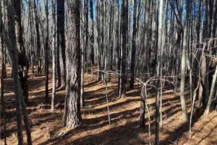 00 Nc Hwy 134 N, Star, NC 27356 - Photo 1