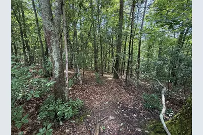 Lot 139 Pine Burr Drive, Purlear, NC 28665 - Photo 7