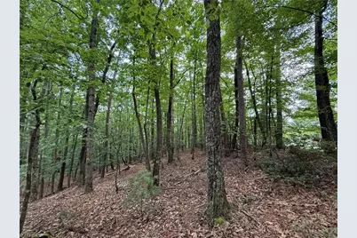 Lot 139 Pine Burr Drive, Purlear, NC 28665 - Photo 11