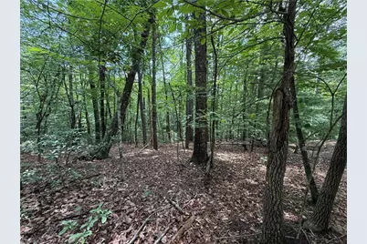 Lot 139 Pine Burr Drive, Purlear, NC 28665 - Photo 5