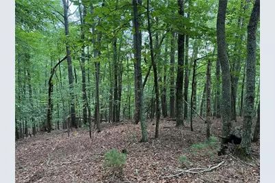 Lot 139 Pine Burr Drive, Purlear, NC 28665 - Photo 9