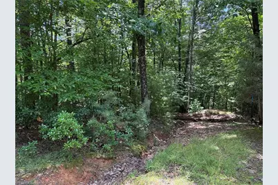 Lot 139 Pine Burr Drive, Purlear, NC 28665 - Photo 13