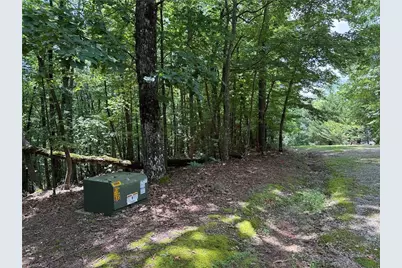 Lot 139 Pine Burr Drive, Purlear, NC 28665 - Photo 3