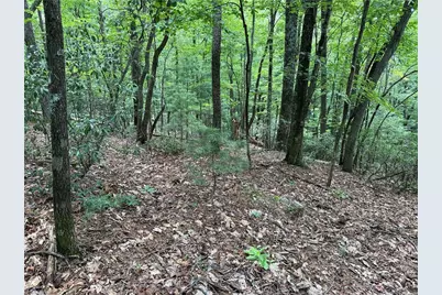 Lot 139 Pine Burr Drive, Purlear, NC 28665 - Photo 7