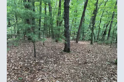 Lot 139 Pine Burr Drive, Purlear, NC 28665 - Photo 5