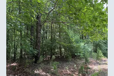 Lot 139 Pine Burr Drive, Purlear, NC 28665 - Photo 13