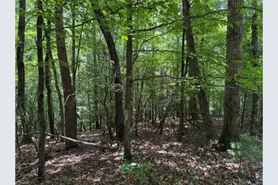 Lot 139 Pine Burr Drive, Purlear, NC 28665 - Photo 11