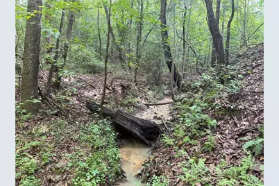 00 Rock Quarry Road, Pelham, NC 27311 - Photo 27