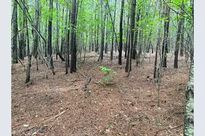 00 Rock Quarry Road, Pelham, NC 27311 - Photo 29