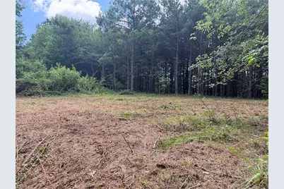 00 Rock Quarry Road, Pelham, NC 27311 - Photo 19