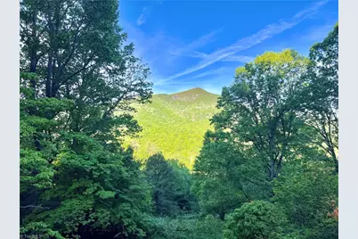 2636 Buck Mountain Road #0, West Jefferson, NC 28694 - Photo 3