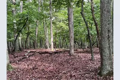 1695 Sierra Trace Road, Denton, NC 27239 - Photo 1