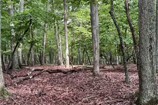 1695 Sierra Trace Rd, Denton, NC 27239 - Photo 1