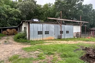 7205 Riley Ln, Climax, NC 27233 - Photo 9