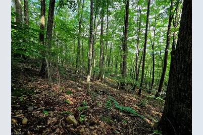 Tbd Red Fox Trail, Boone, NC 28607 - Photo 5