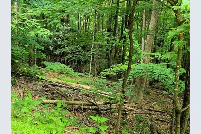 Tbd Red Fox Trail, Boone, NC 28607 - Photo 3