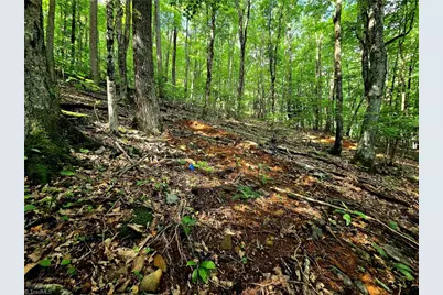 Tbd Red Fox Trail, Boone, NC 28607 - Photo 11