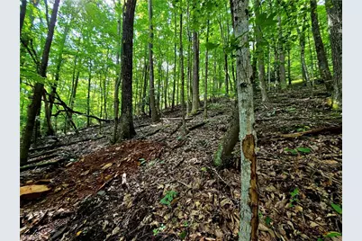Tbd Red Fox Trail, Boone, NC 28607 - Photo 13
