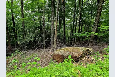 Tbd Red Fox Trail, Boone, NC 28607 - Photo 15