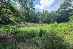 4115 Busbee Rd, Seagrove, NC 27341 - Photo 33