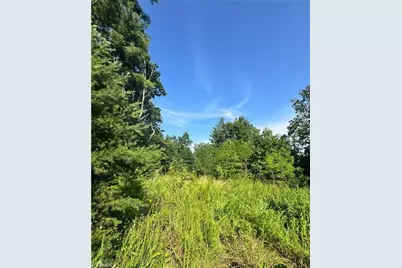 0 Nc Highway 16, Millers Creek, NC 28651 - Photo 11