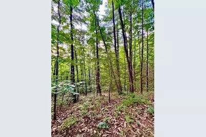 0 Nc Highway 16, Millers Creek, NC 28651 - Photo 23