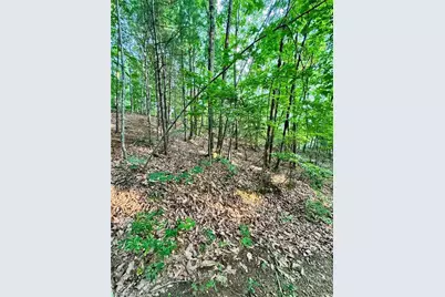 0 Nc Highway 16, Millers Creek, NC 28651 - Photo 21