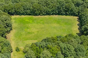 443 Swicegood Rd, Linwood, NC 27299 - Photo 49