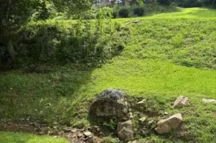 3186 Silas Creek Rd, Lansing, NC 28643 - Photo 9