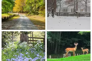 469 Justamere Farm Rd, Greensboro, NC 27455 - Photo 35