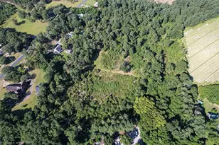 132 W Moore St, Candor, NC 27229 - Photo 17