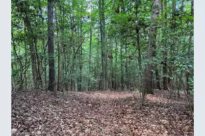 0 Rainbow Trout Drive, Hays, NC 28635 - Photo 9